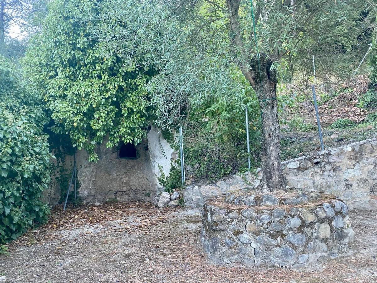 Stay Wild En Las Casitas De Huerta Arriba Бенамаома Экстерьер фото